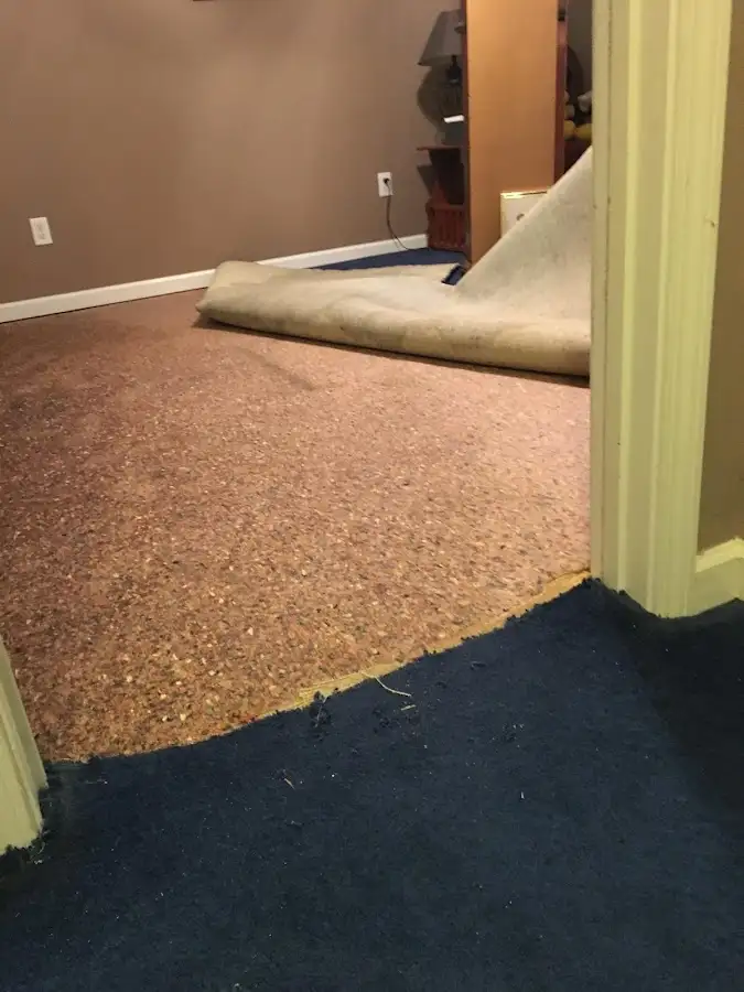 Carpet pad removal revealing water damage during Water Mitigation Services in Milwaukee