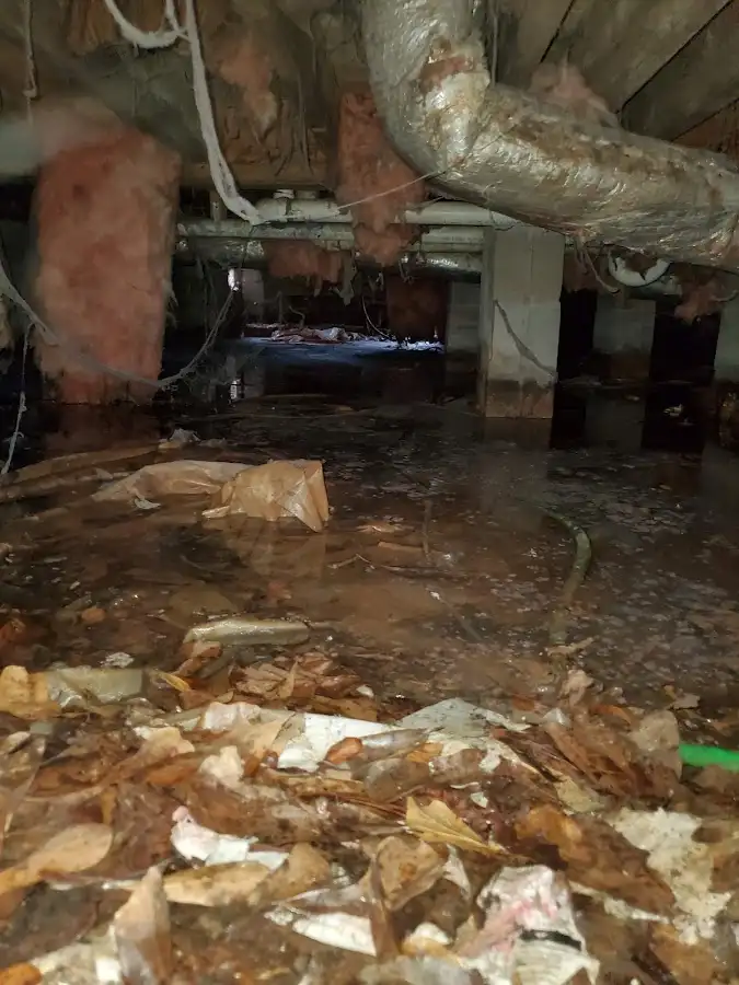 Crawl space flood assessment for Leak Detection & Repair in Milwaukee